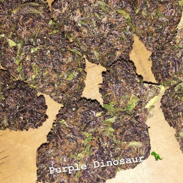 Purple Dinosaur strain