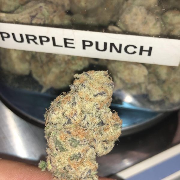 purple punch strain